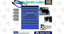 Desktop Screenshot of infinityborders.com
